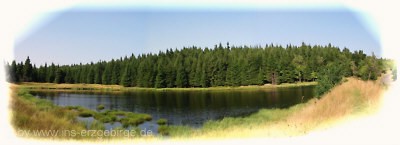 Načetínský rybník / Červený rybník