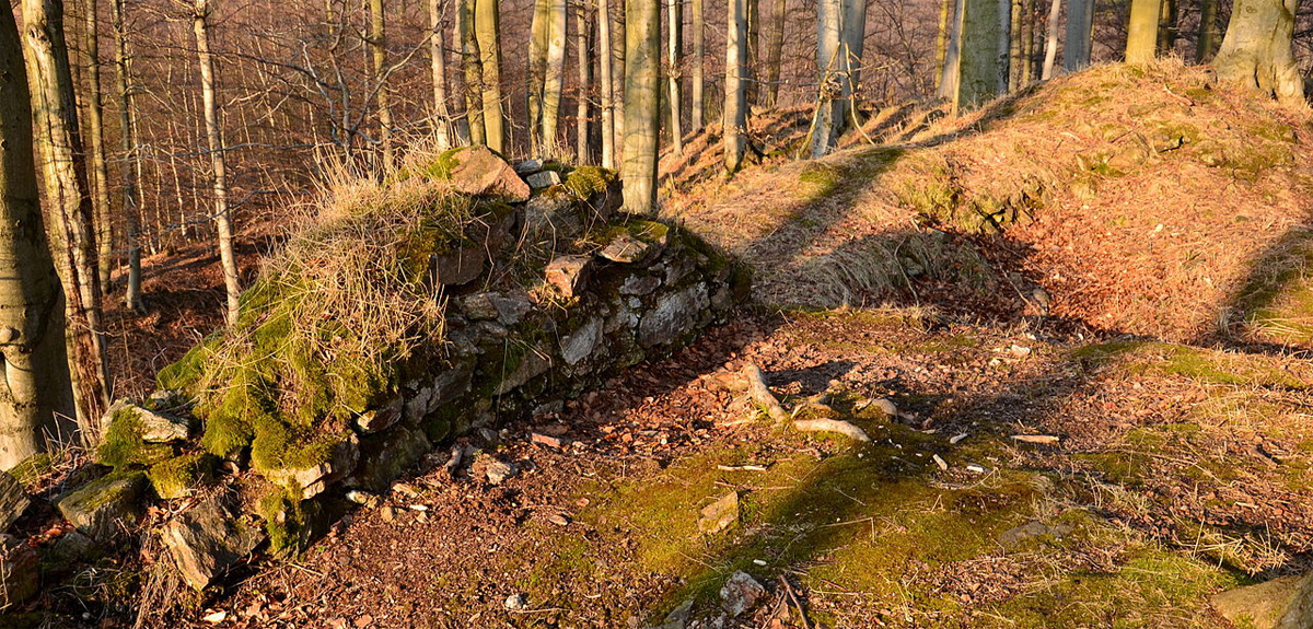 Burg Neuseeberg
