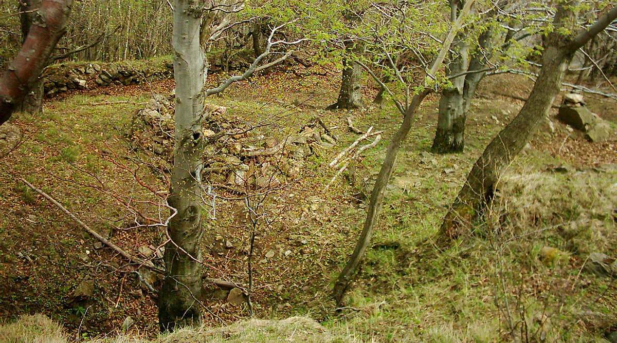 Burg Altseeberg