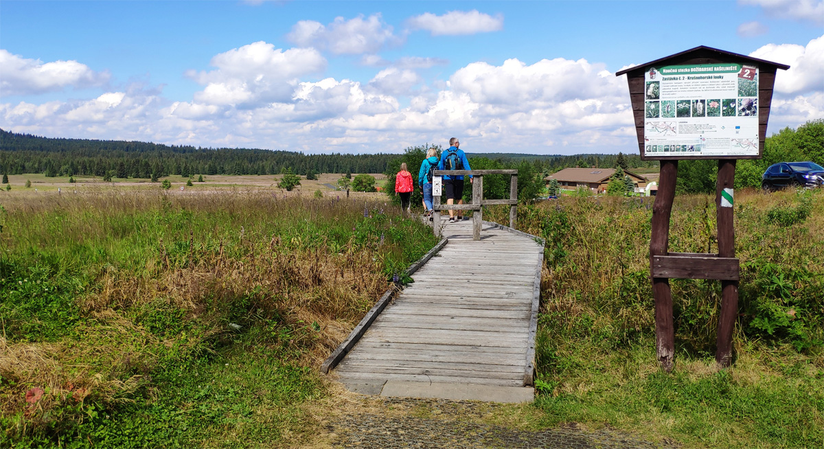 Gottesgaber Torfmoor