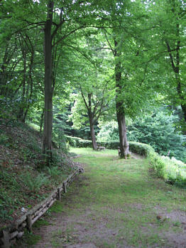 Berhardtstein