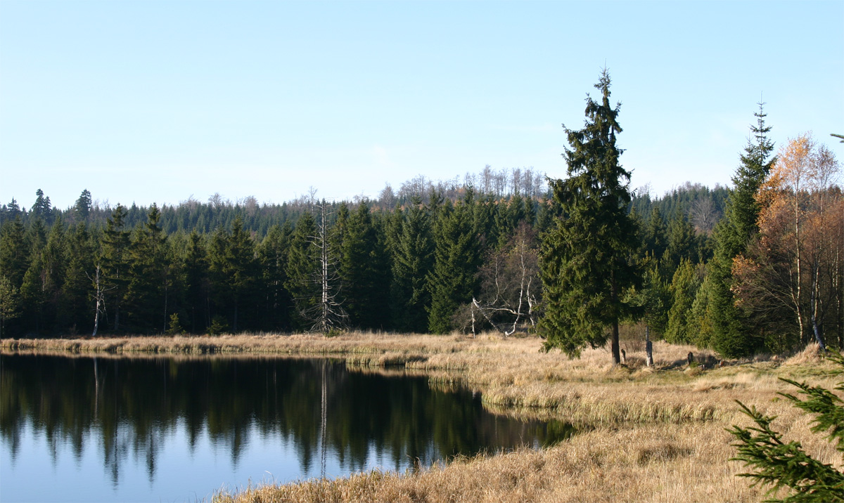 Lehmheider Teich