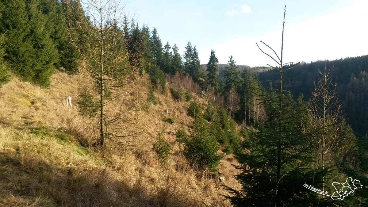 Natzschungtal
