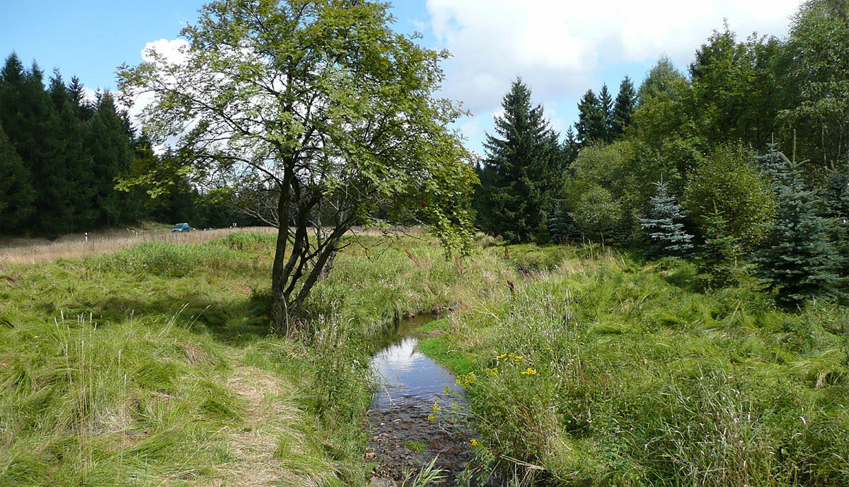 Schwarzer Teich im Schweinitztal