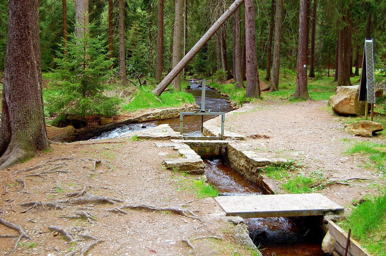 Waldgeisterweg und Röhrgraben