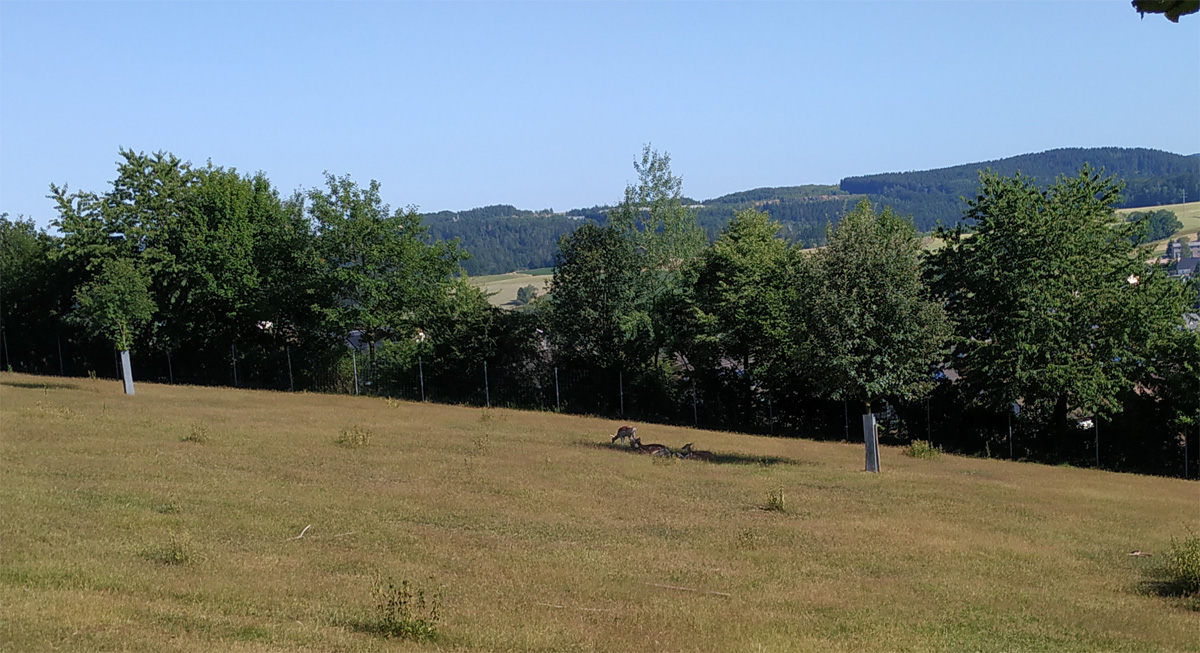 Wildgehege Gelenau