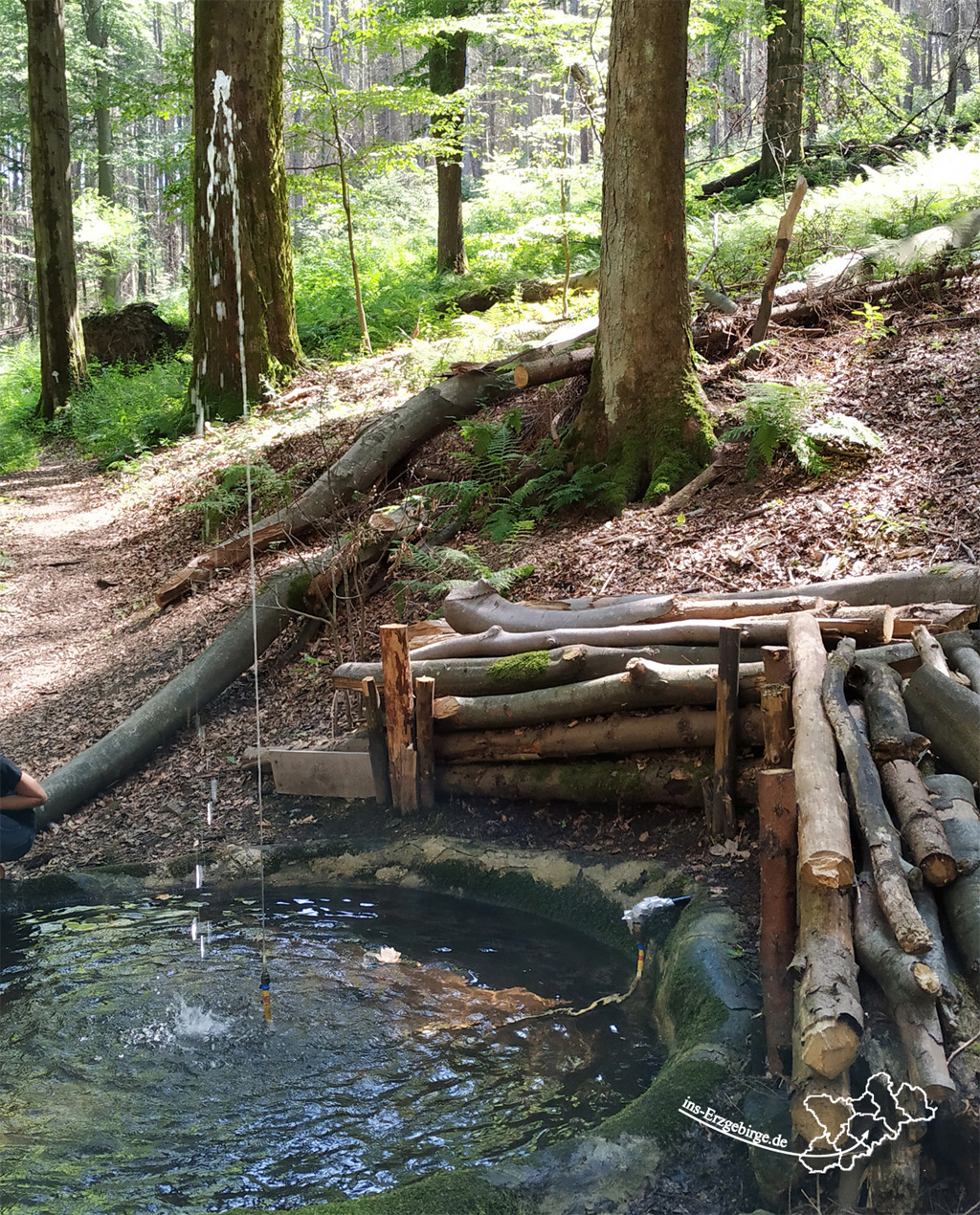 Springbrunnen mitten im Wald