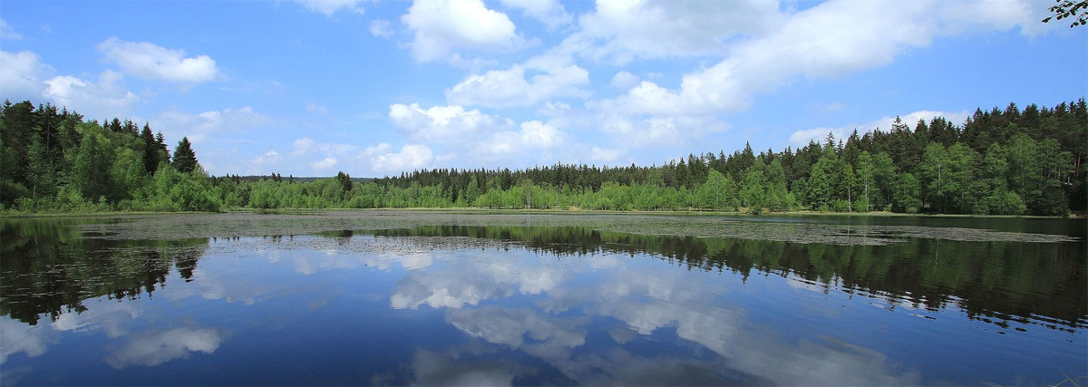 Schwarzer Teich bei Elterlein