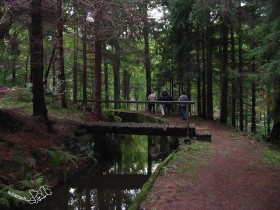 Wassergraben oberhalb am Hang