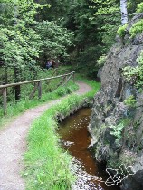 Abzweig