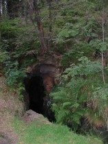 Vorschaubild 7