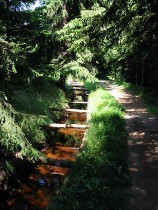 Vorschaubild 9