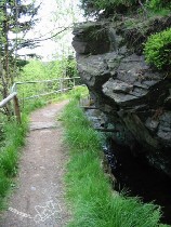 Vorschaubild 11