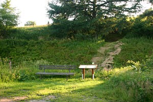 Heilkräuterlehrpfad