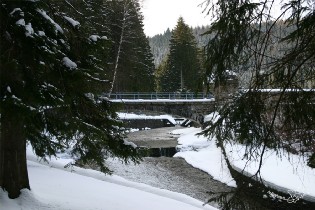Zulauf mit Pegelturm