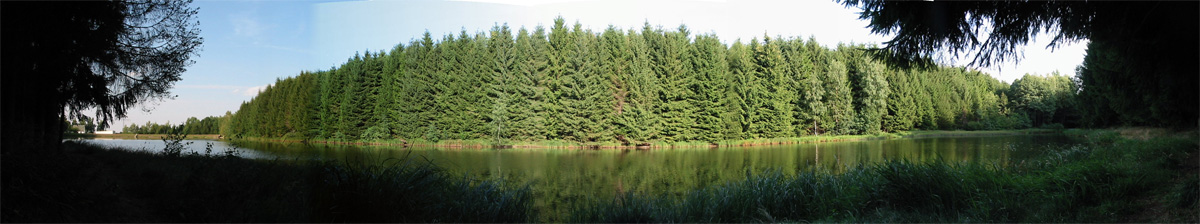 Lother Teich und Rothbächer Teich