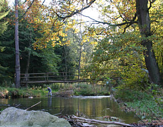 Baumstammbrücke über die Bobritzsch