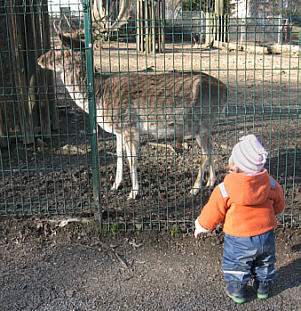Tierpark Freiberg