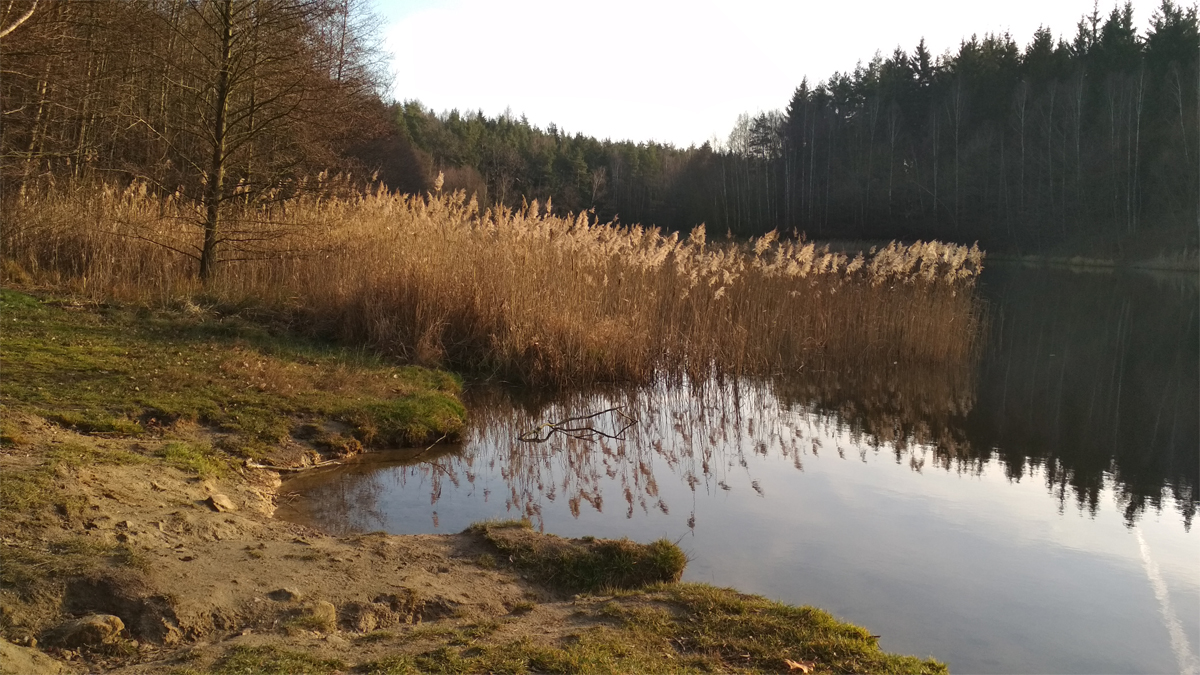 Heidemühlenteich