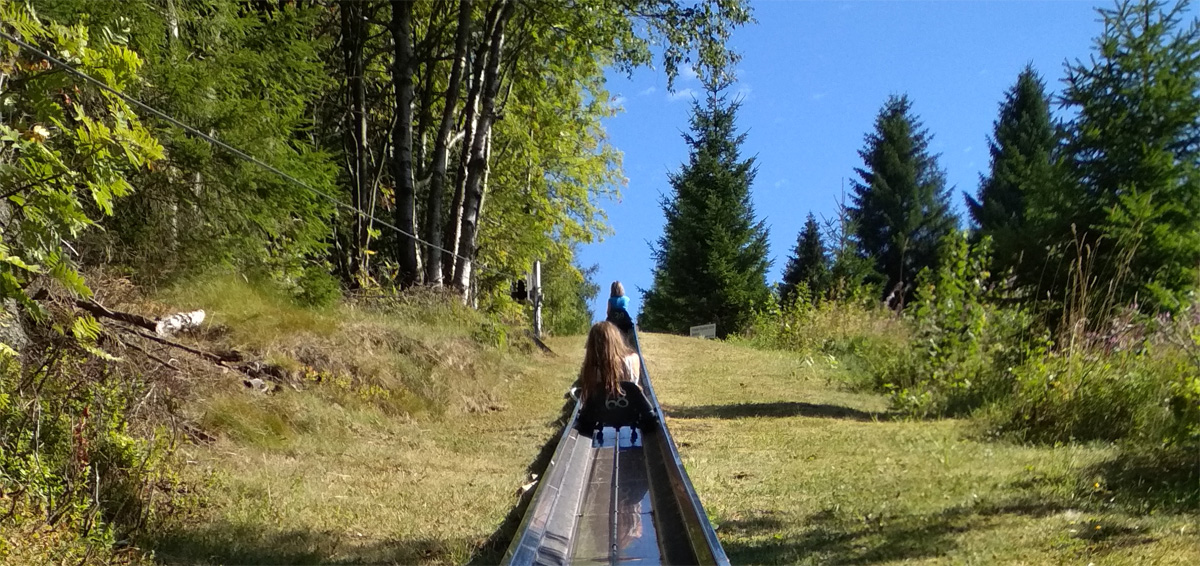 Sommerrodelbahn Altenberg