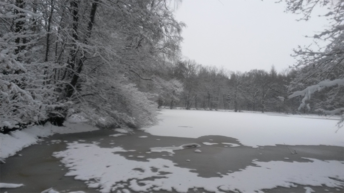 Schwarzer Teich bei Freiberg