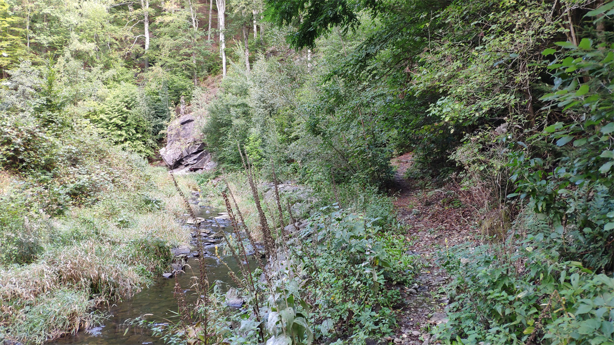 Katzentreppe und Aussicht