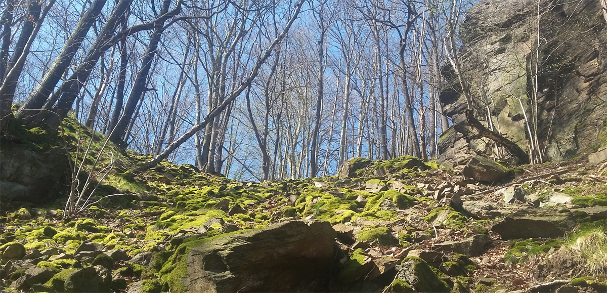 Kletterfelsen bei Schlottwitz
