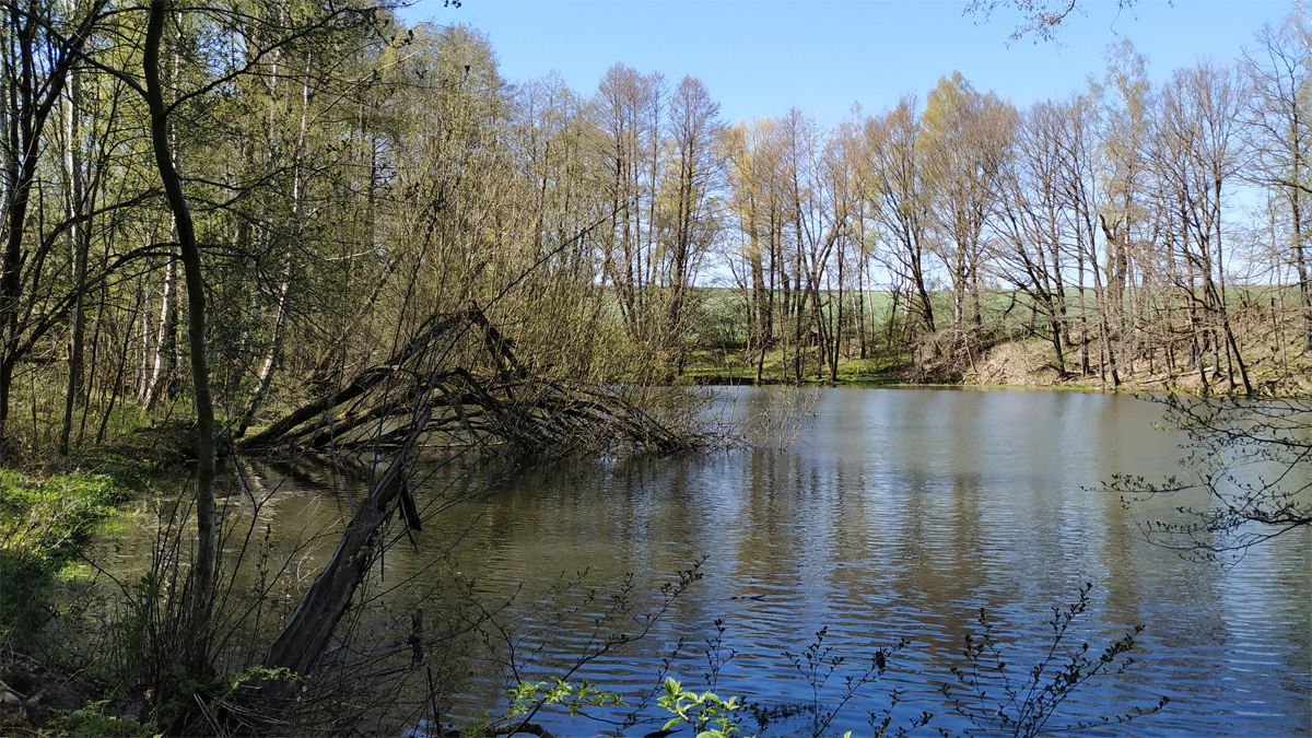 Teich bei Großvoigtsberg