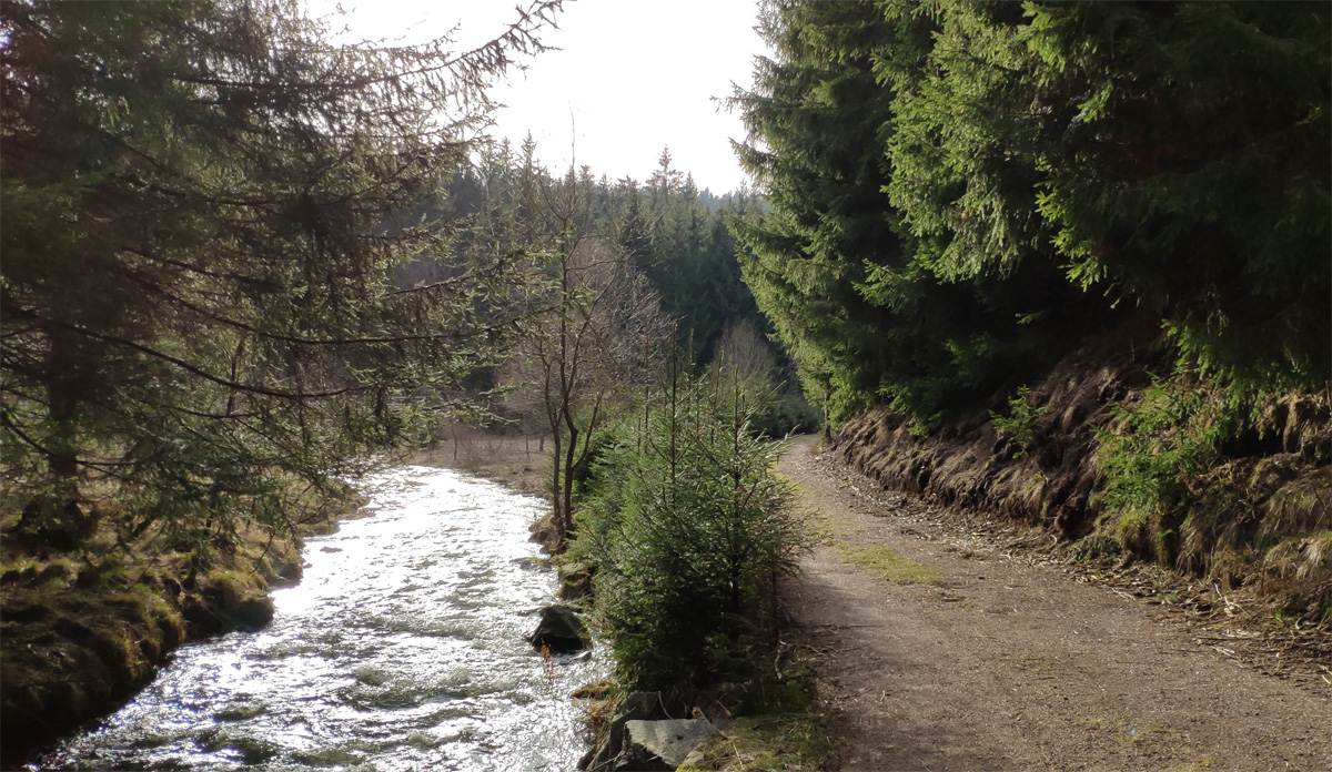 Alter Flößersteig Holzhau