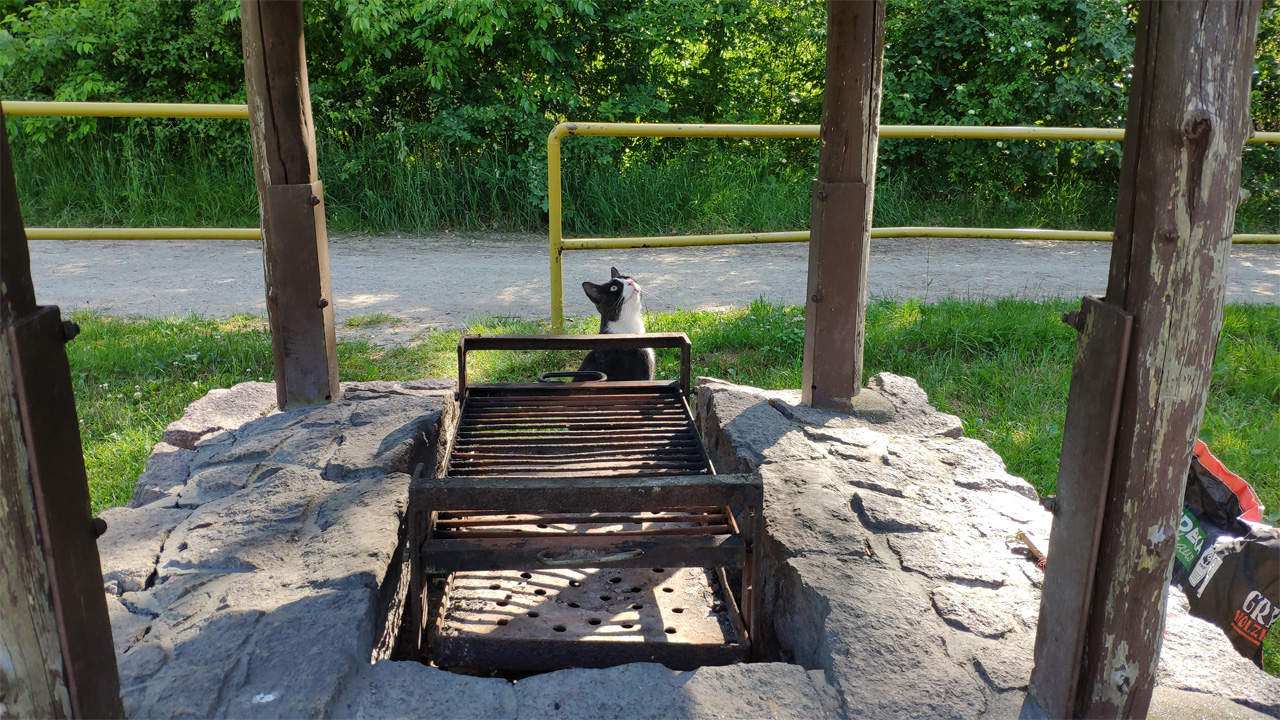 Grillstelle Grillenburg