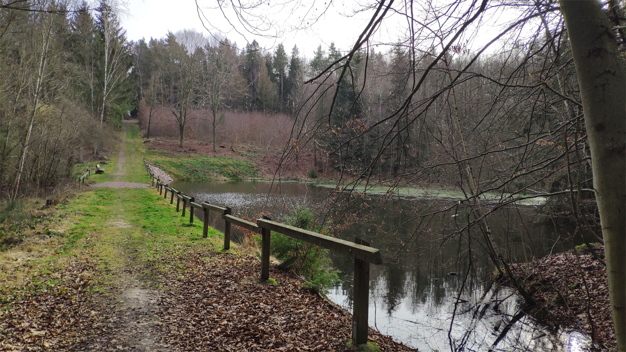 Kleiner See im Zellwald