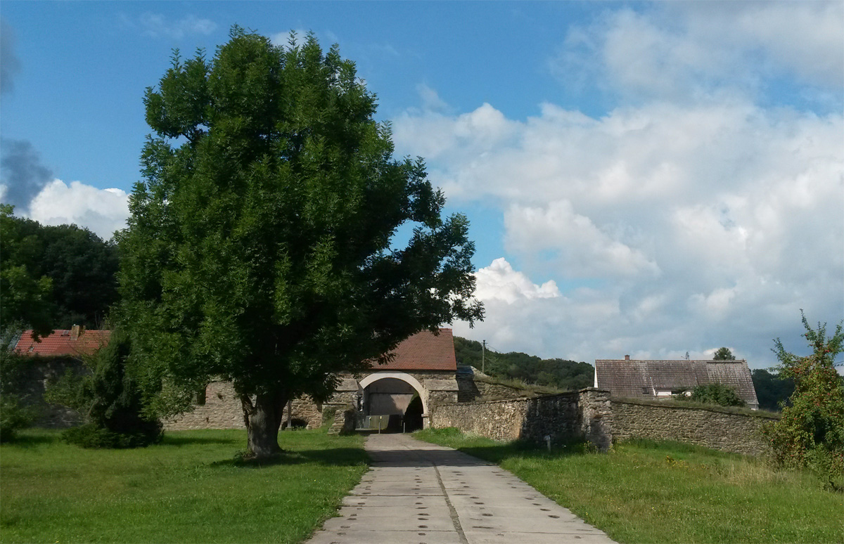 Kloster Altzella
