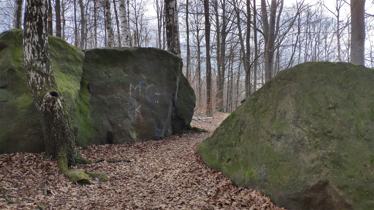 Naturlehrpfad Schweitzerthal 