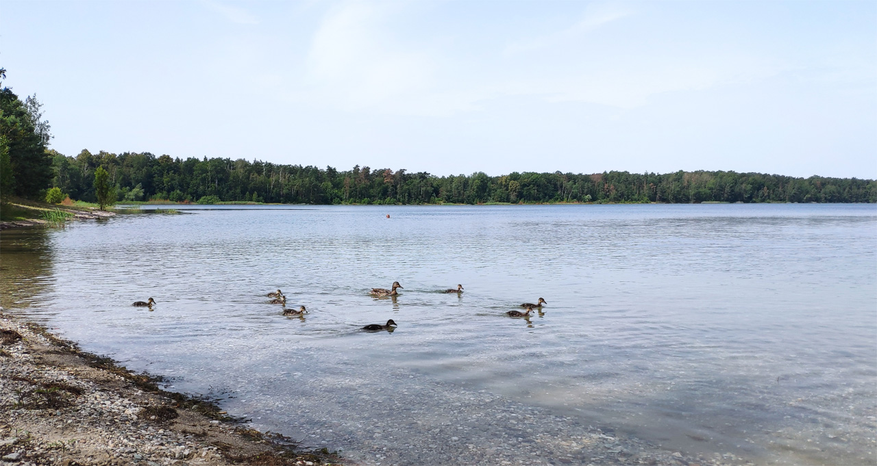 Moritzsee
