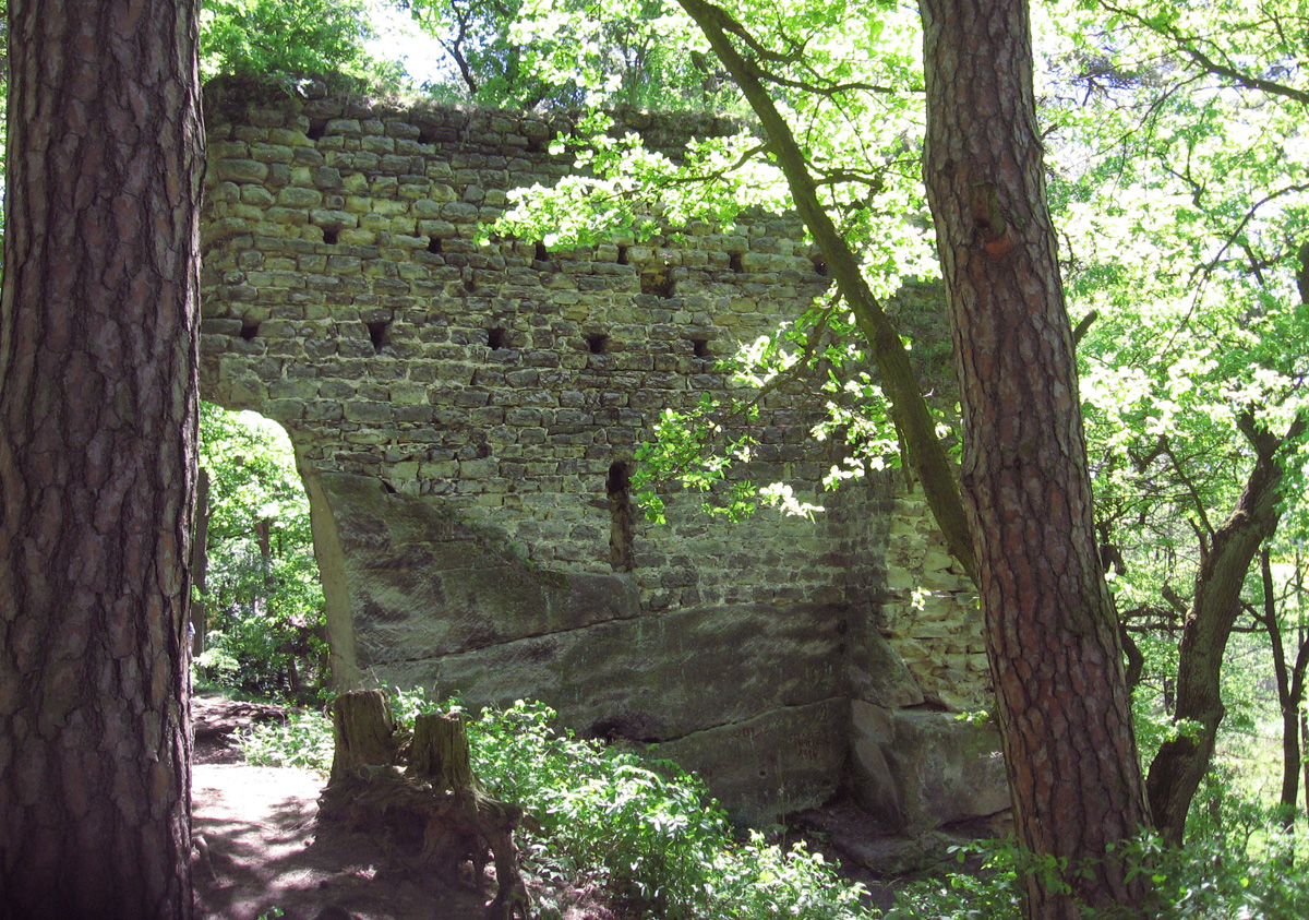 Burgruine Vítkovec
