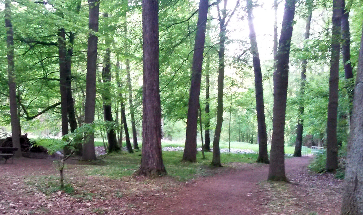 Naherholungsgebiet Lützeltal