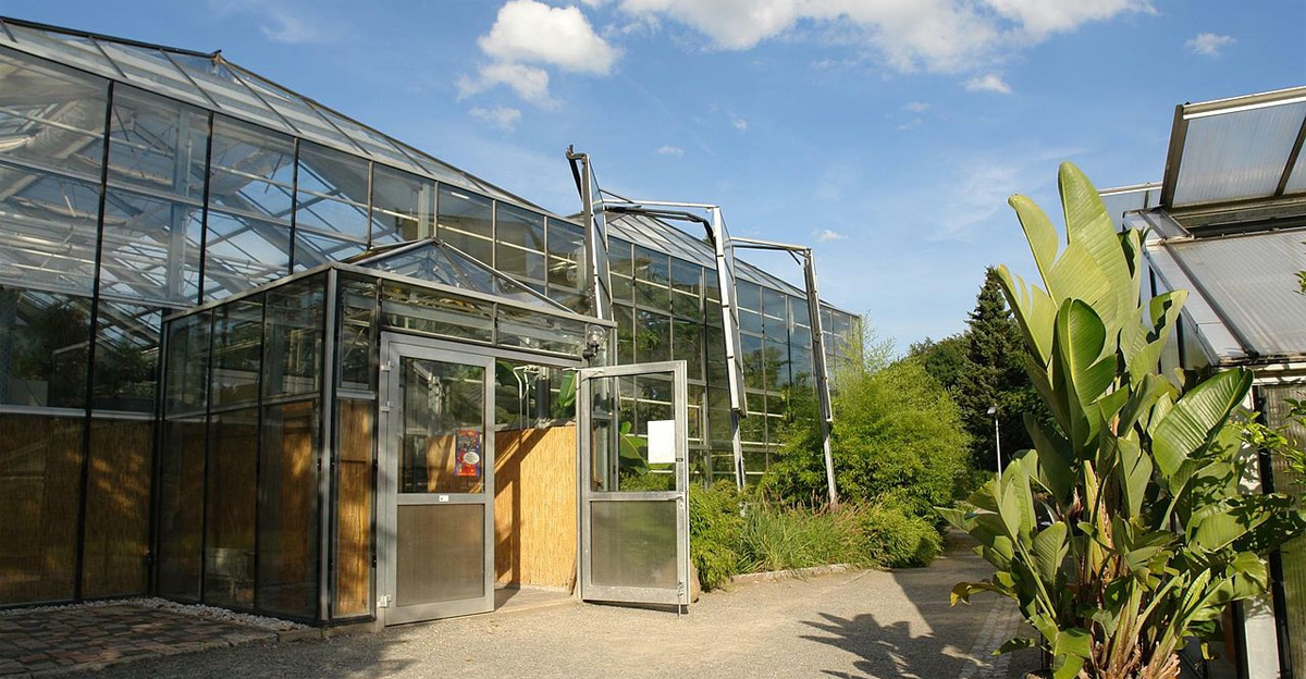 Botanischer Garten Chemnitz