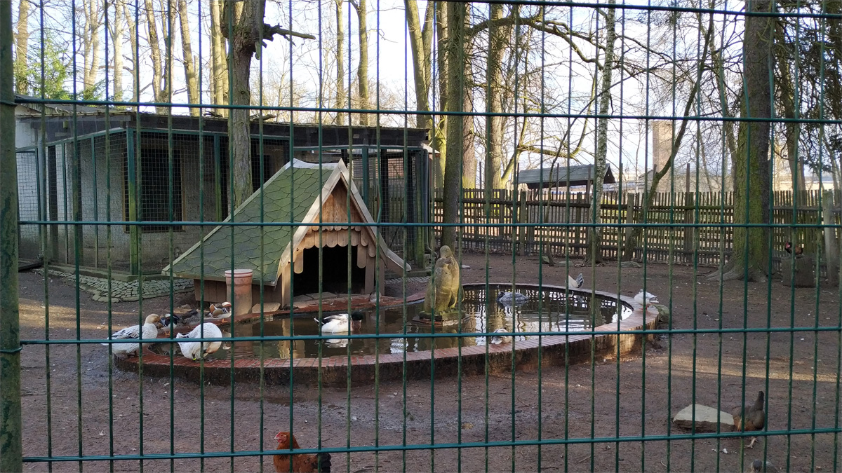 Tiergehege Hainichen