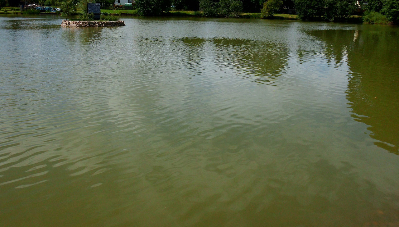 Schwemmteich Neuwiese