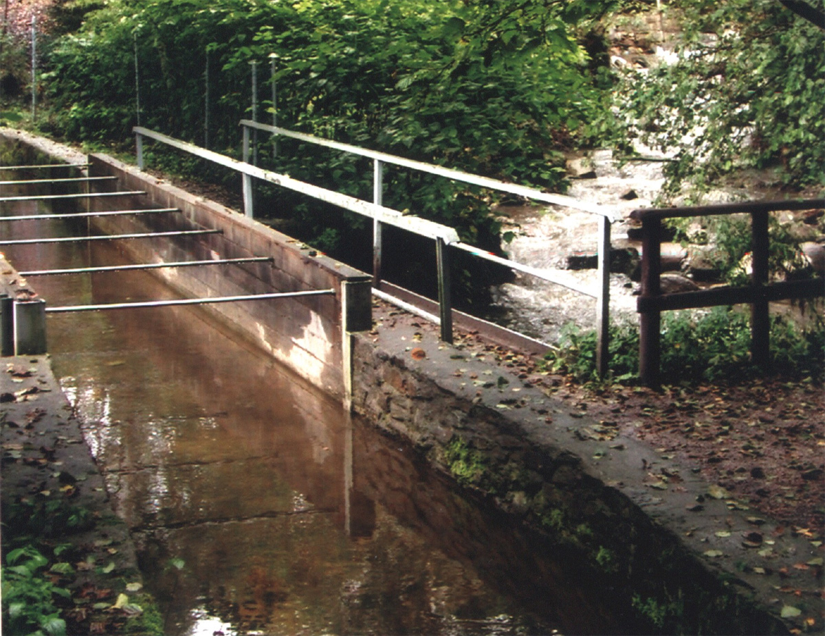 Floßgraben Albernau