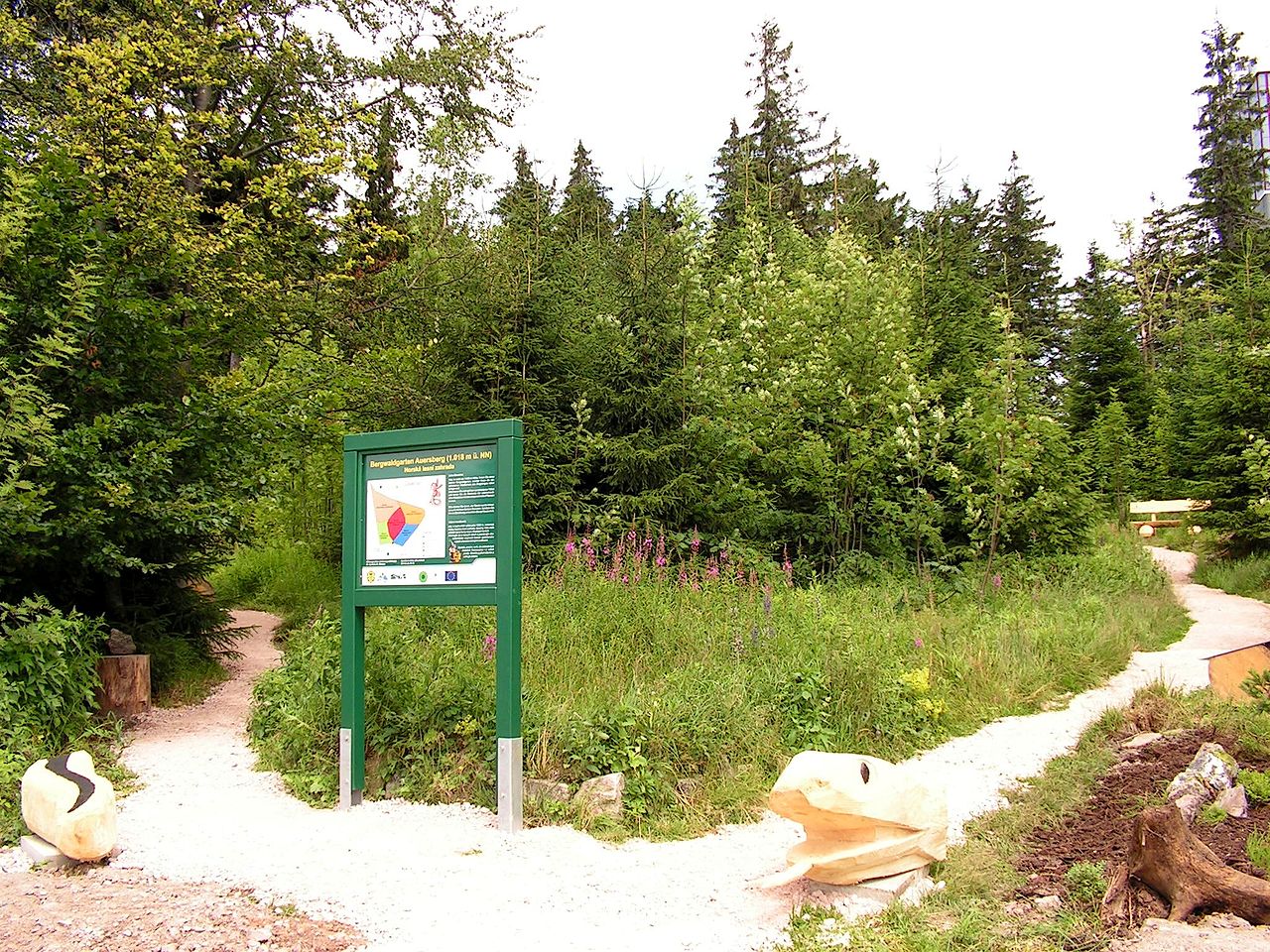 Lehrpfad Bergwaldgarten Auersberg