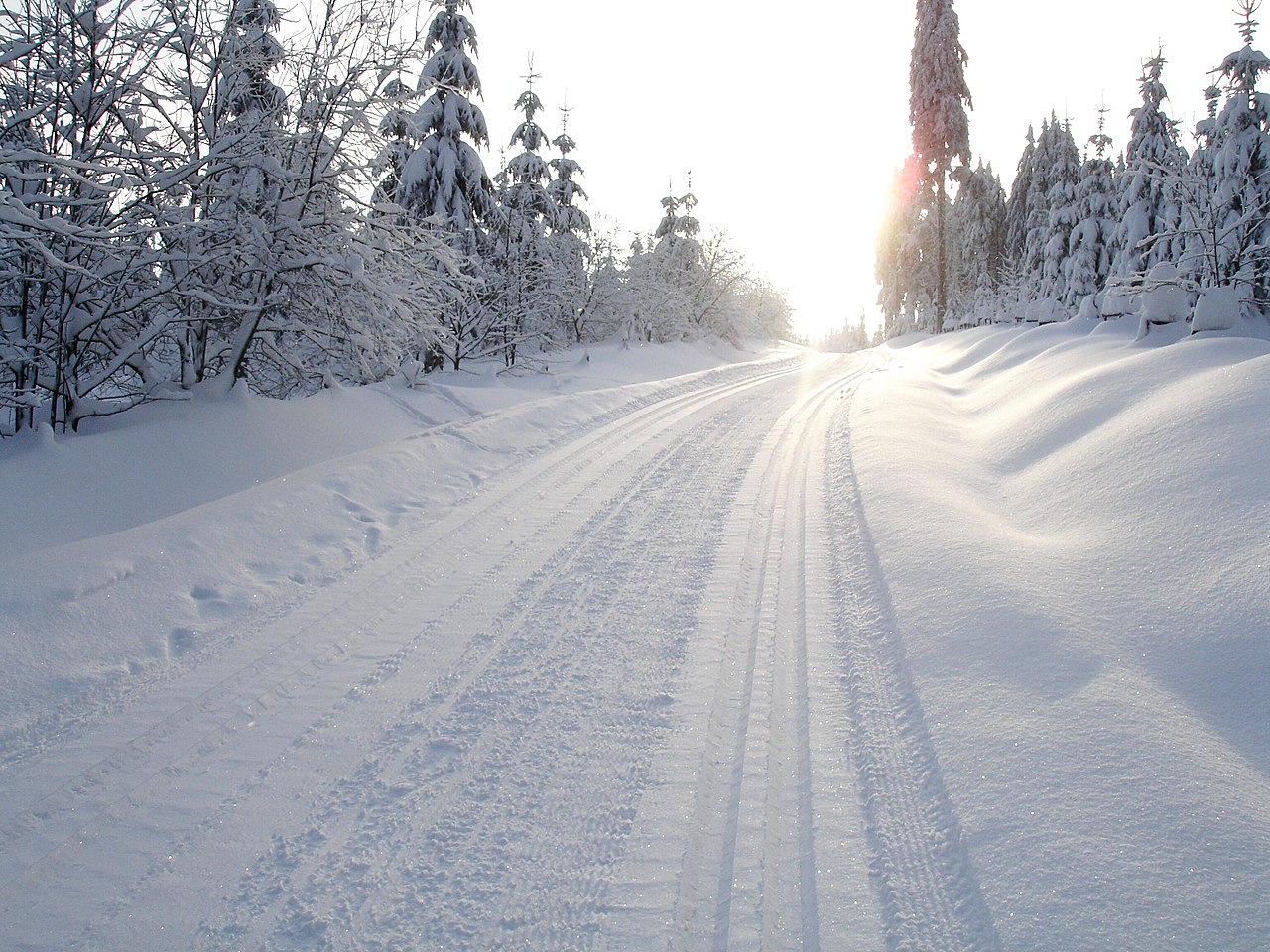 Kammloipe